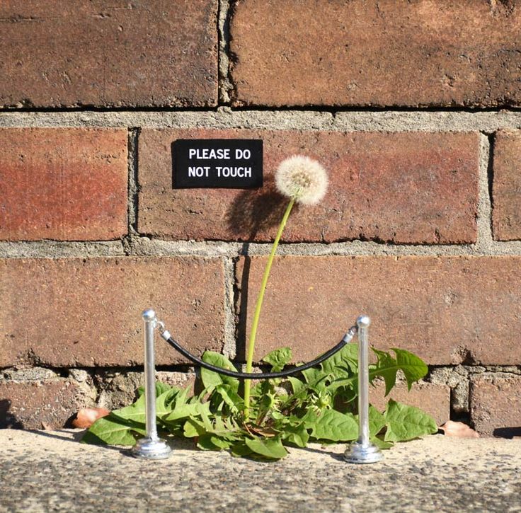 vandalismo arte urbano creatividad 40