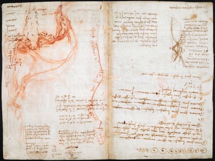 Leonardo da Vinci libro de notas 2