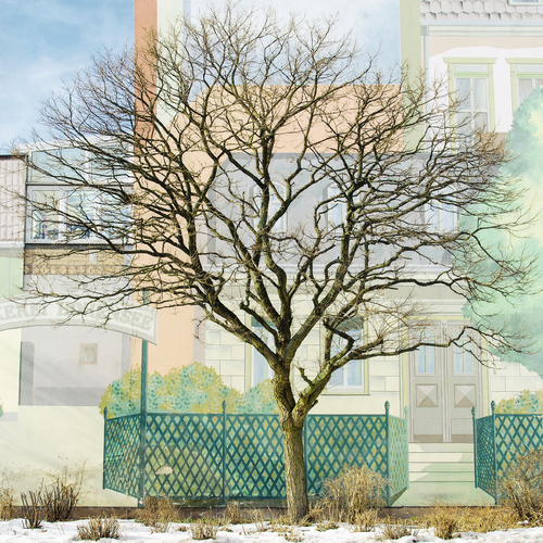 MHeiderich ColorBerlin 012