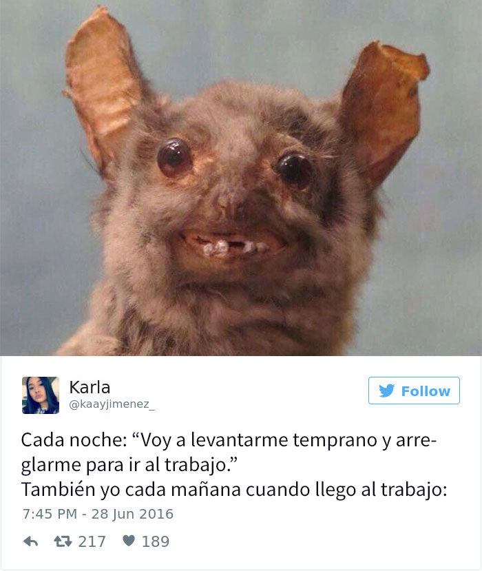 Memes divertidos trabajo 10