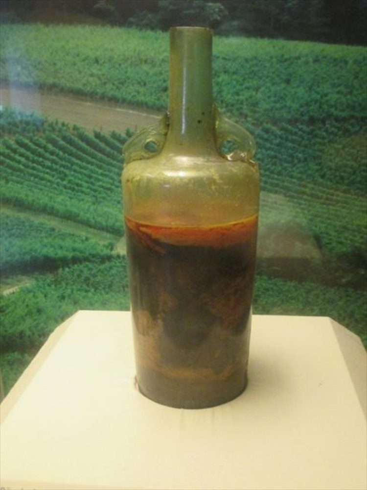 Romerwein Speyer vino viejo 3