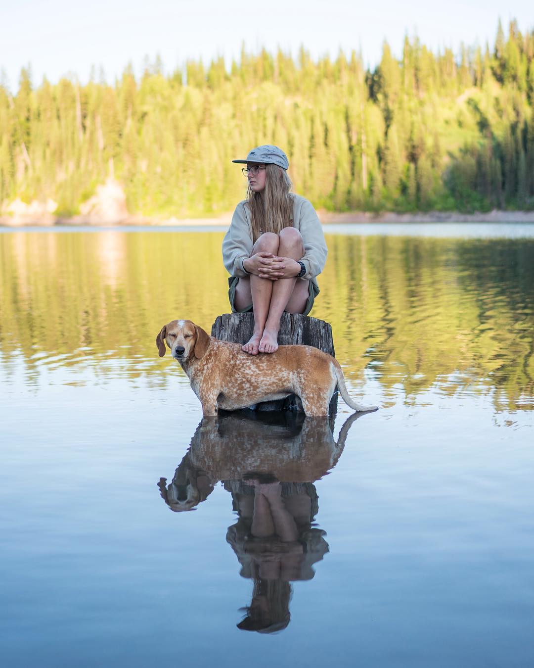 Theron Humphrey Maddie fotografia 6