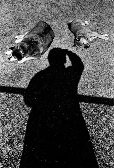 Daido Moriyama, Self-portrait with Dogs, 1997