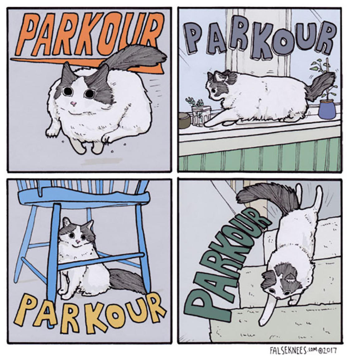 Josh Barkman humor negro 11