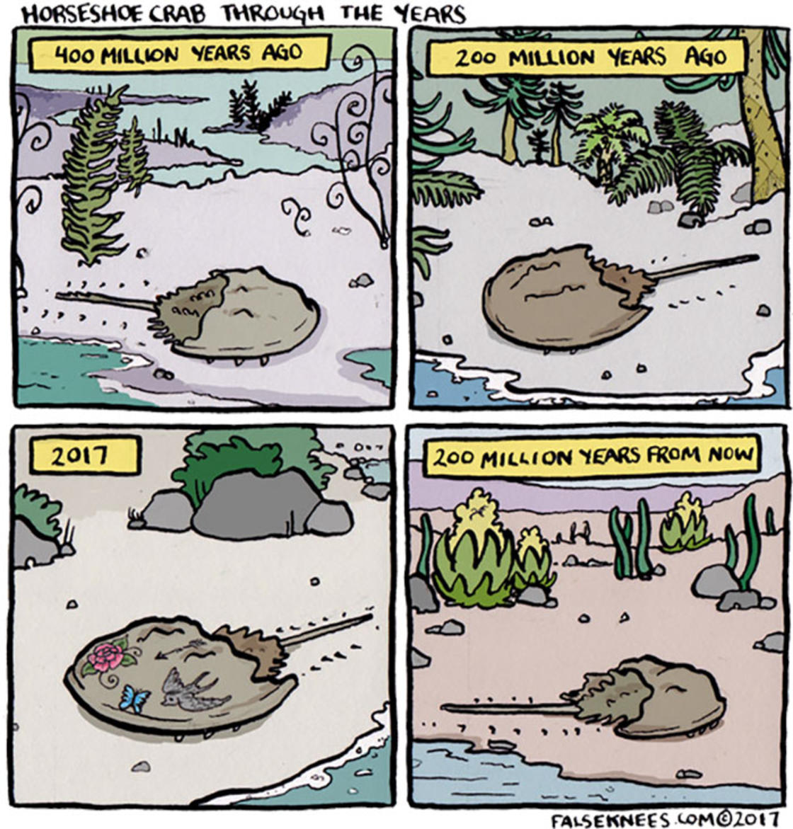 Josh Barkman humor negro 13