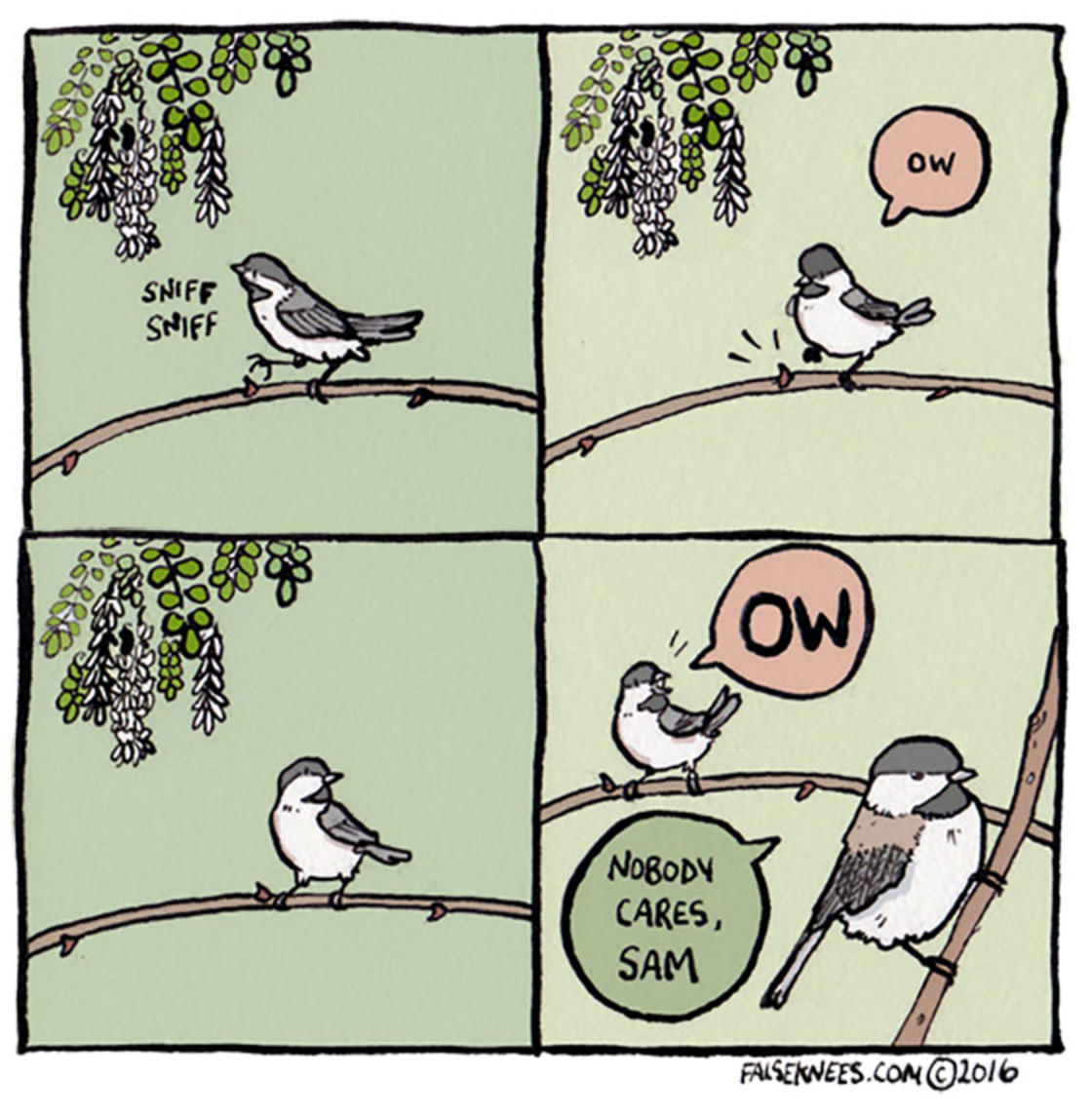 Josh Barkman humor negro 17