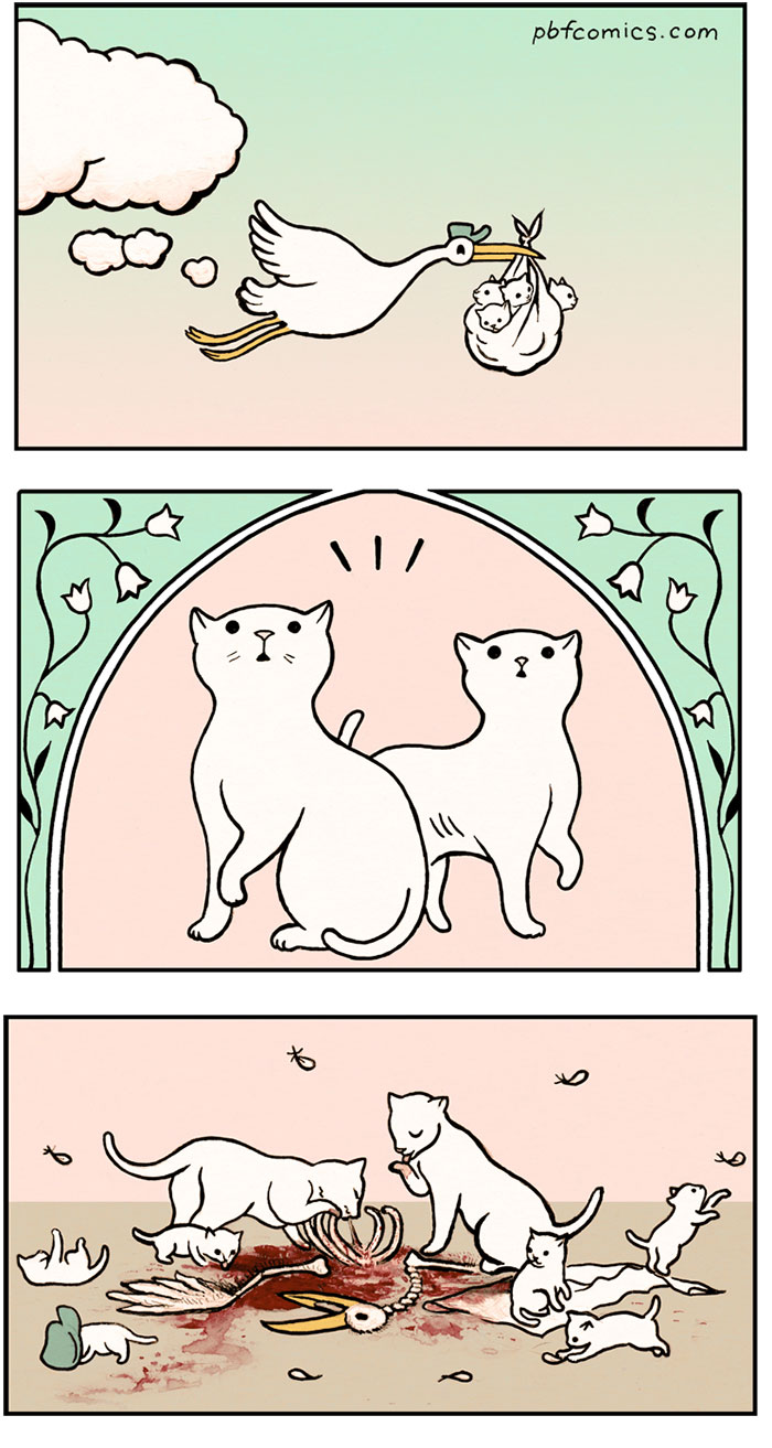 Perry Bible Fellowship humor negro 17