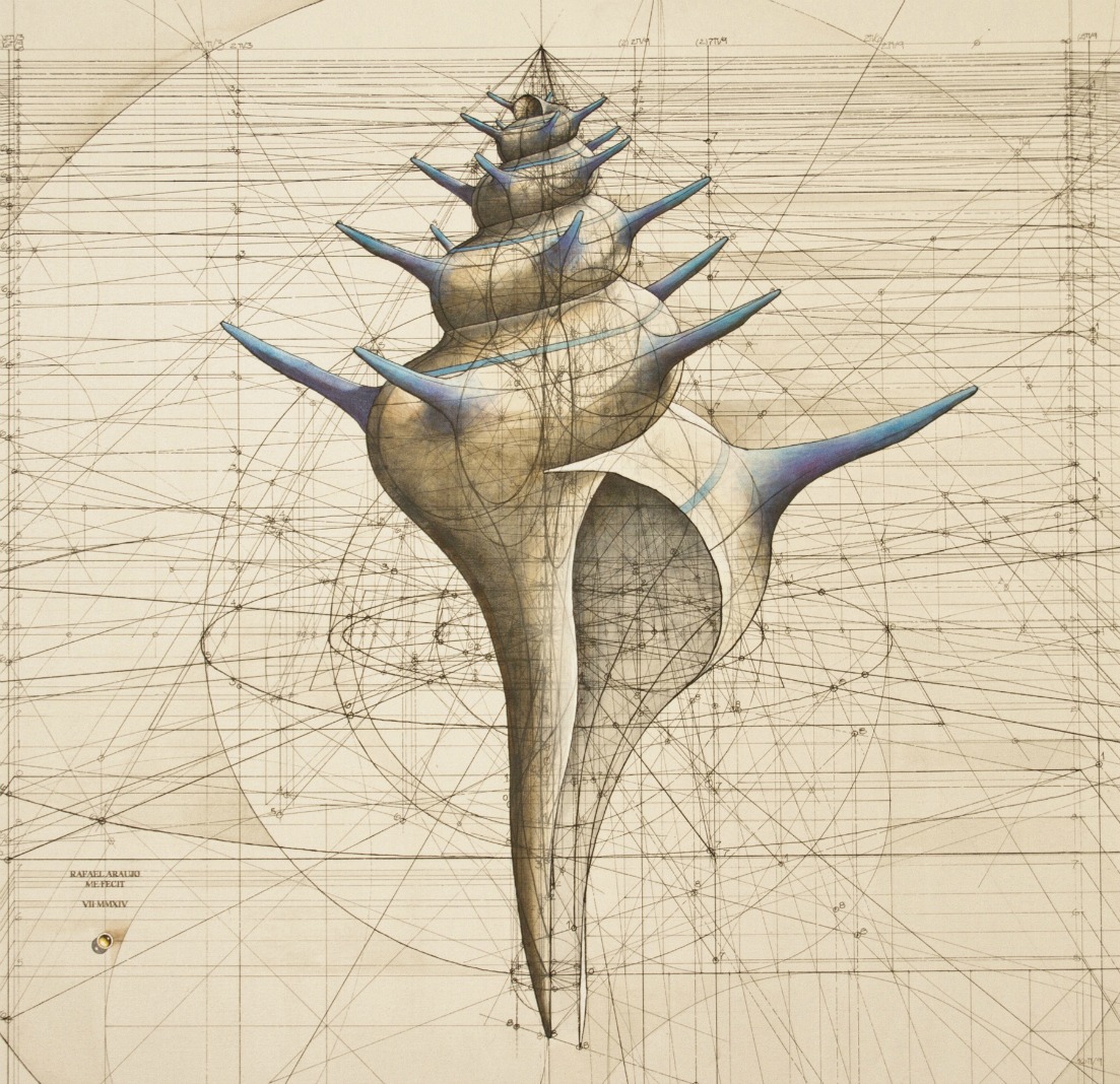 Rafael Araujo Proporcion Aurea