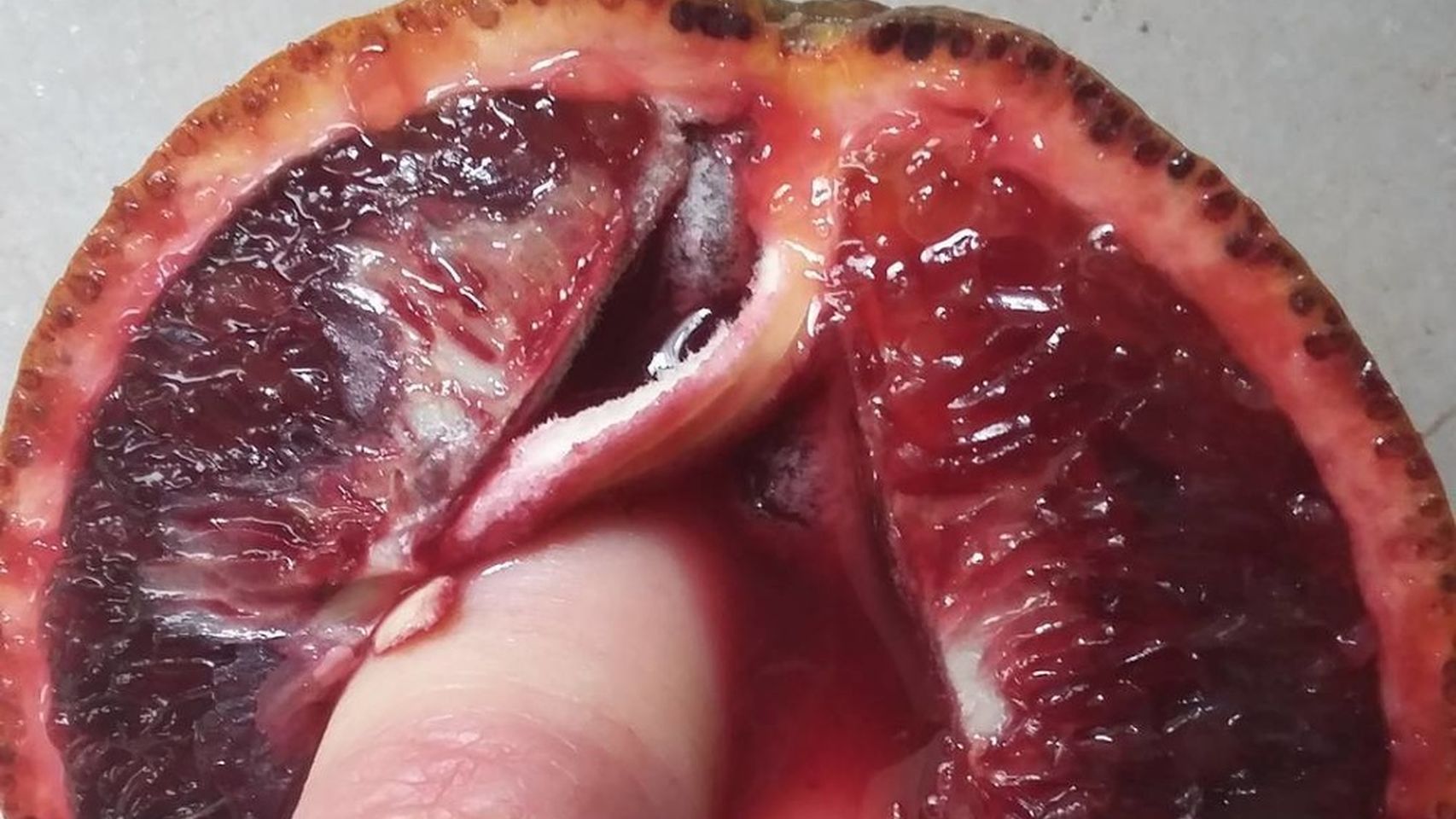 Stephanie Sarley 2 Food Porn Instagram erotica naturaleza