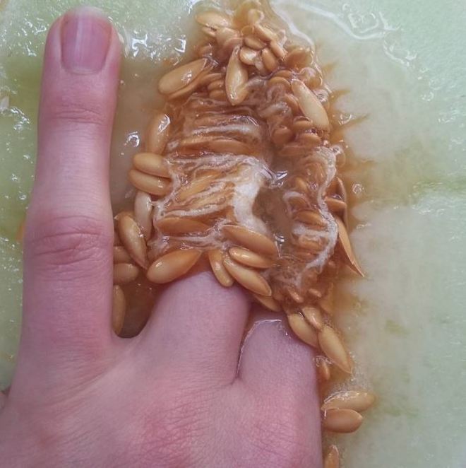Stephanie Sarley 3 Food Porn Instagram erotica naturaleza