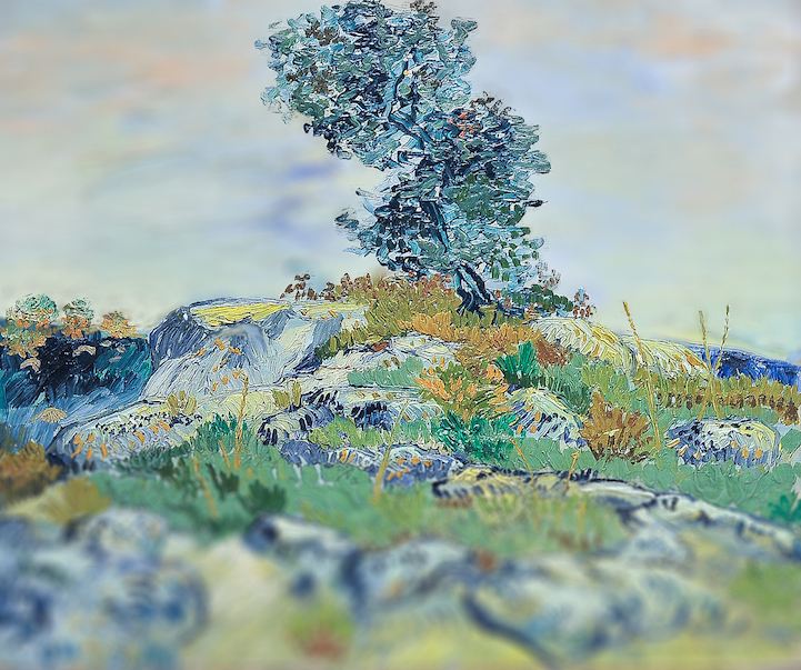 Van Gogh melonshade 13