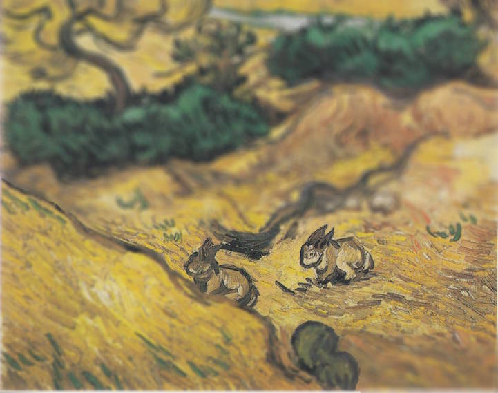 Van Gogh melonshade 18