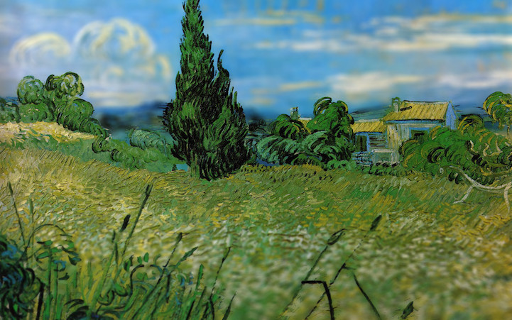 Van Gogh melonshade 20