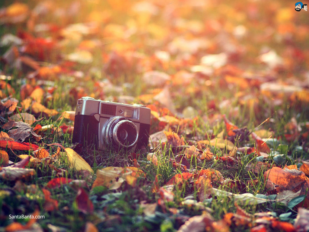 autumn 1a