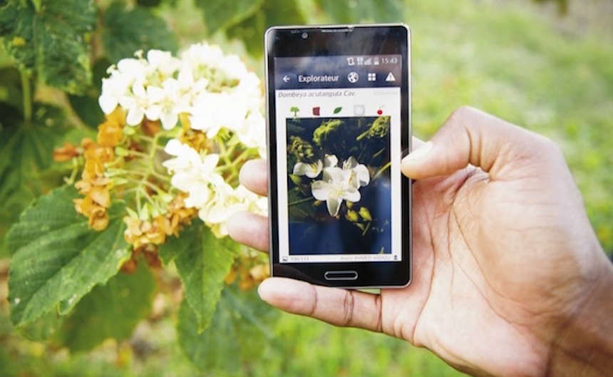 plantnet