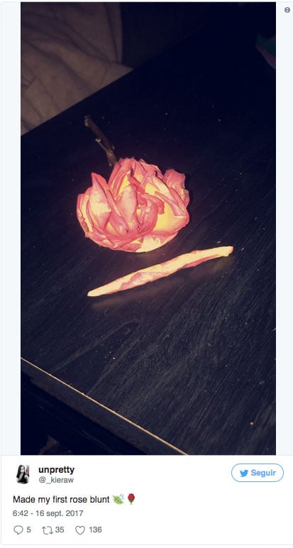 porros rosas petalos