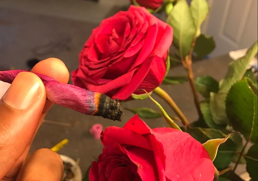 roseblunt twitter