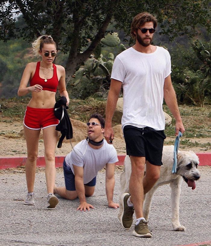 Average Rob photoshop humor 19