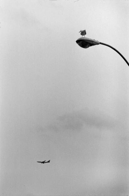 Elliott Erwitt fotografia callejera 22