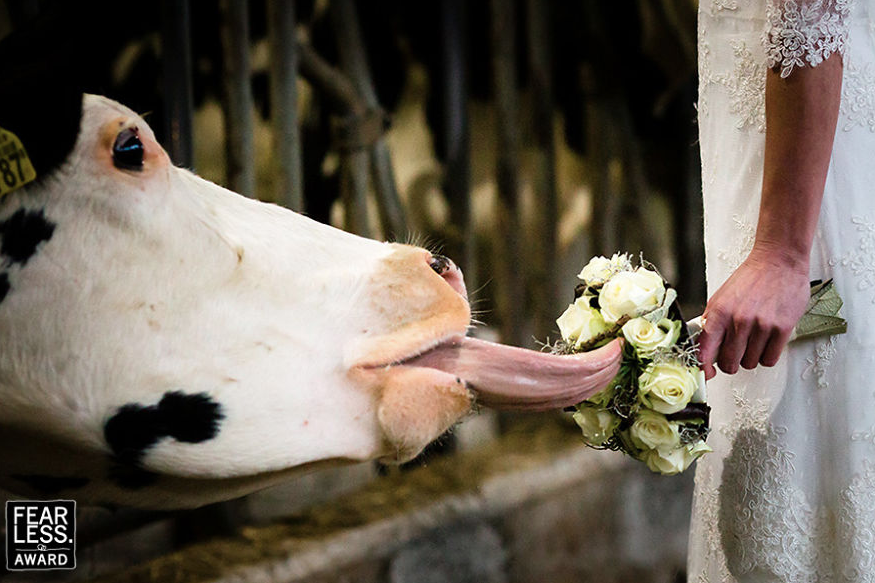 Fotosbodas CulturaInquieta9