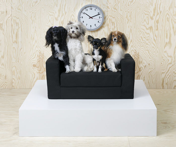 IKEA mascotas perros gatos 2