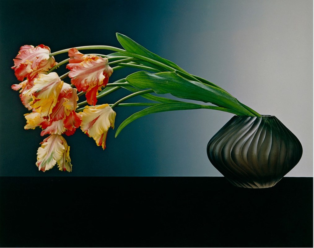 Robert Mapplethorpe flores sensuales