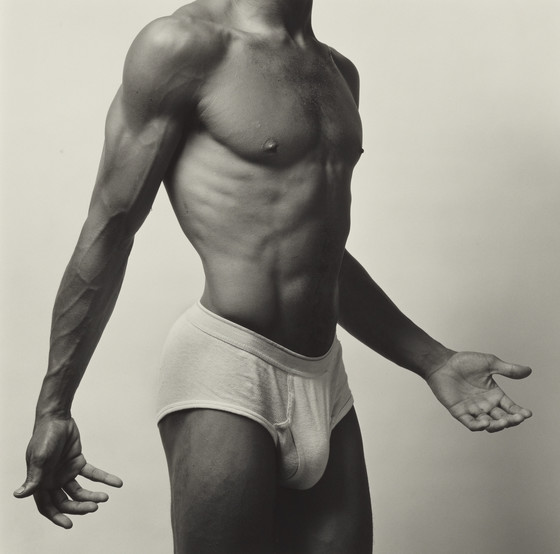 Robert Mapplethorpe flores sensuales 10