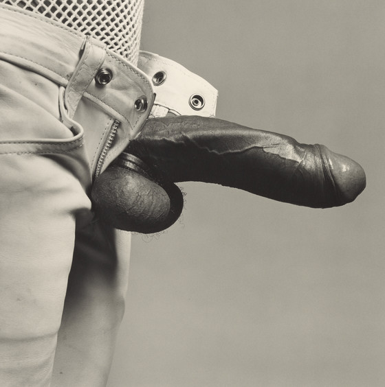 Robert Mapplethorpe flores sensuales 11