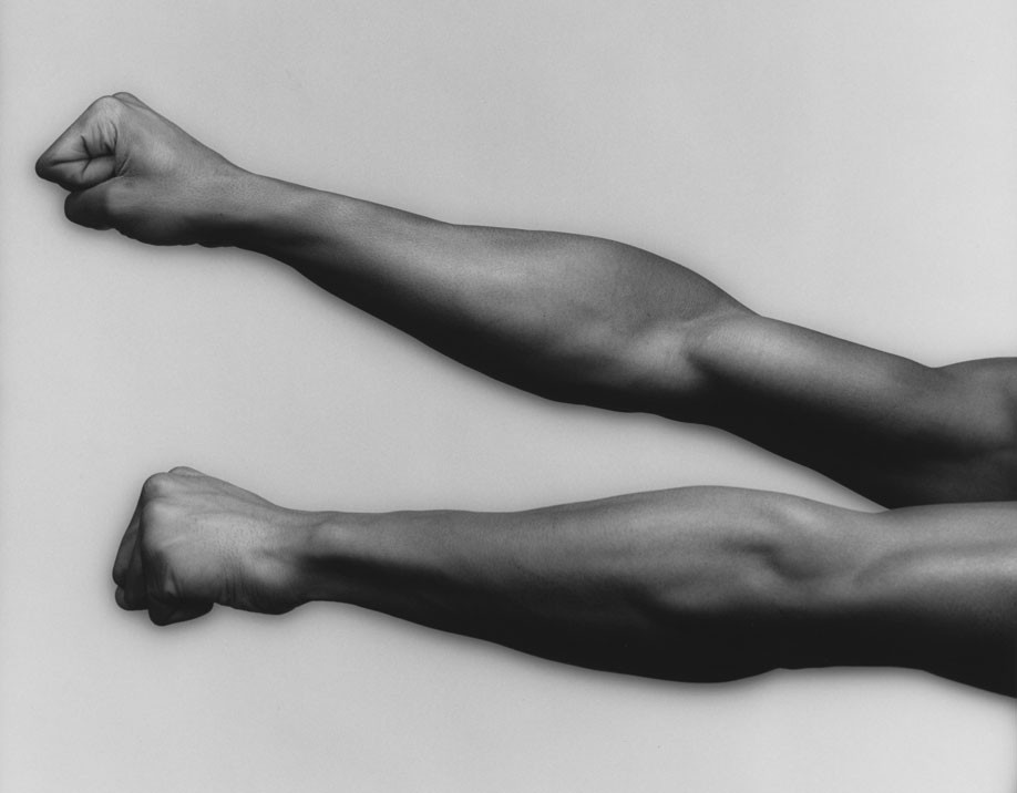 Robert Mapplethorpe flores sensuales 15