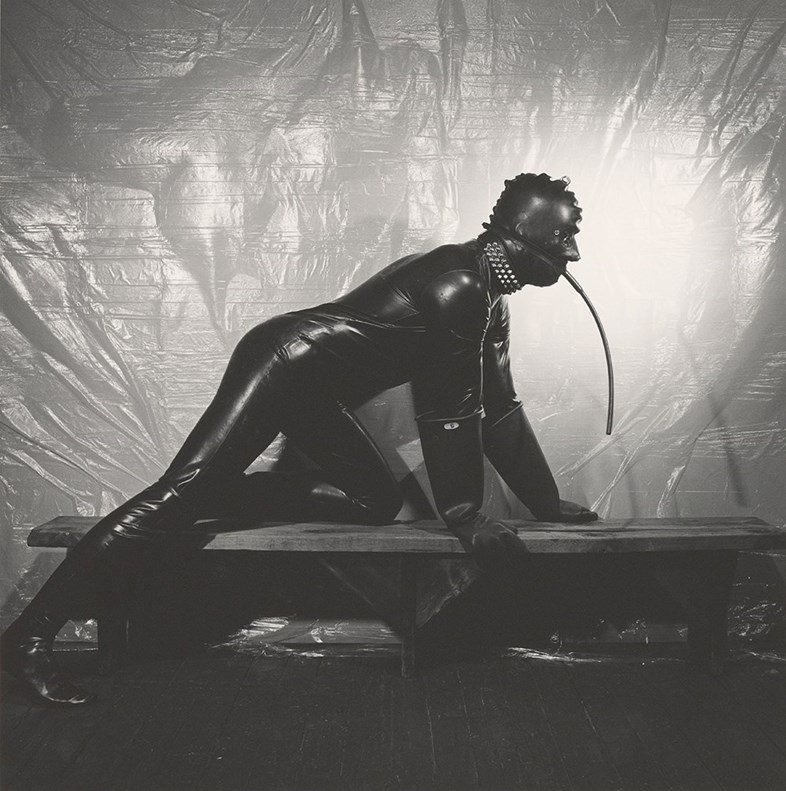 Robert Mapplethorpe flores sensuales 2
