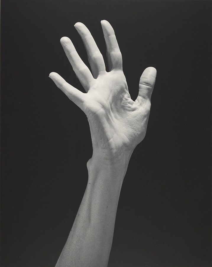 Robert Mapplethorpe flores sensuales 5