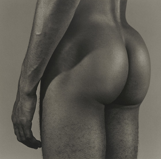 Robert Mapplethorpe flores sensuales 9
