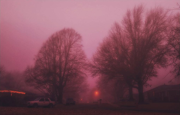 Vinnoth Krishnan fotografo daltonico 4