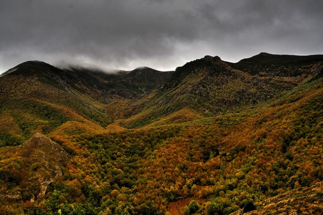 bosques pasear espana otono 3