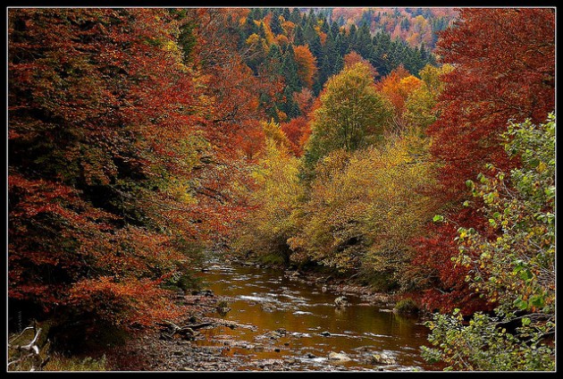 bosques pasear espana otono 9