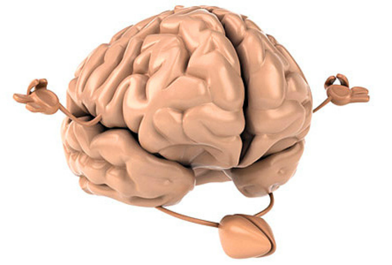 brain final