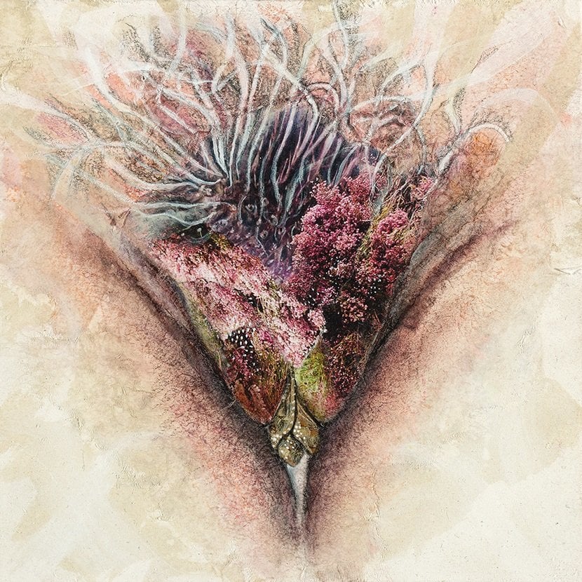 floravaginal culturainquieta.jpg13