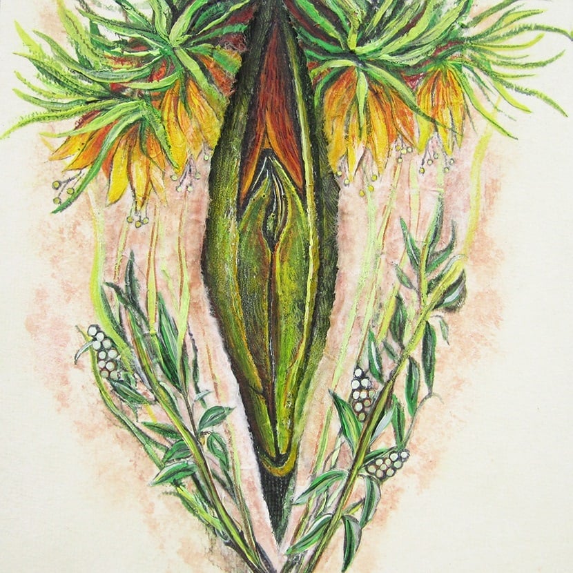floravaginal culturainquieta.jpg6