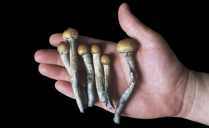hongos magicos alucinogicos psiquiatria 2