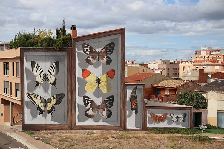 mariposa1