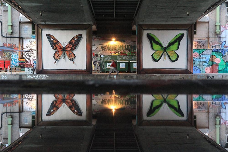 mariposa10