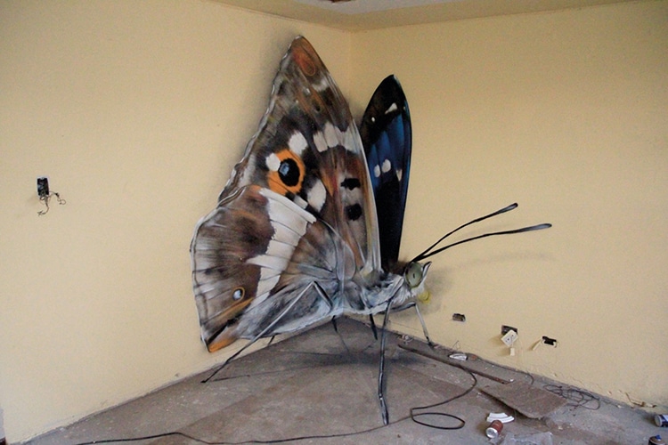 mariposa11