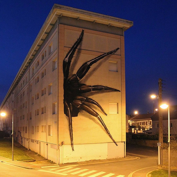 mariposa12