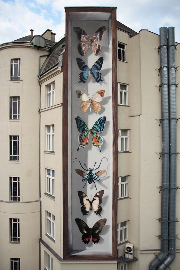 mariposa2