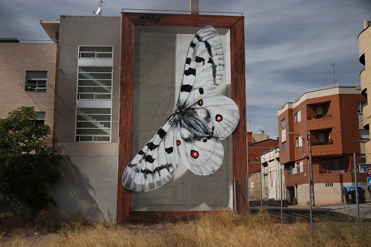 mariposa3