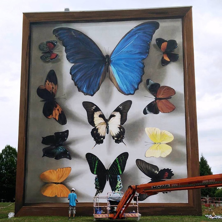 mariposa5