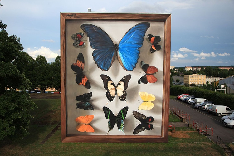 mariposa6
