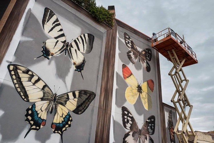 mariposa7