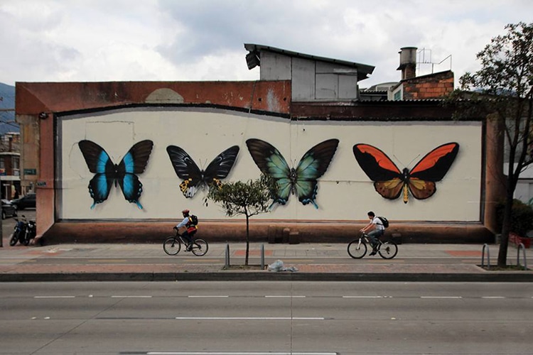 mariposa9