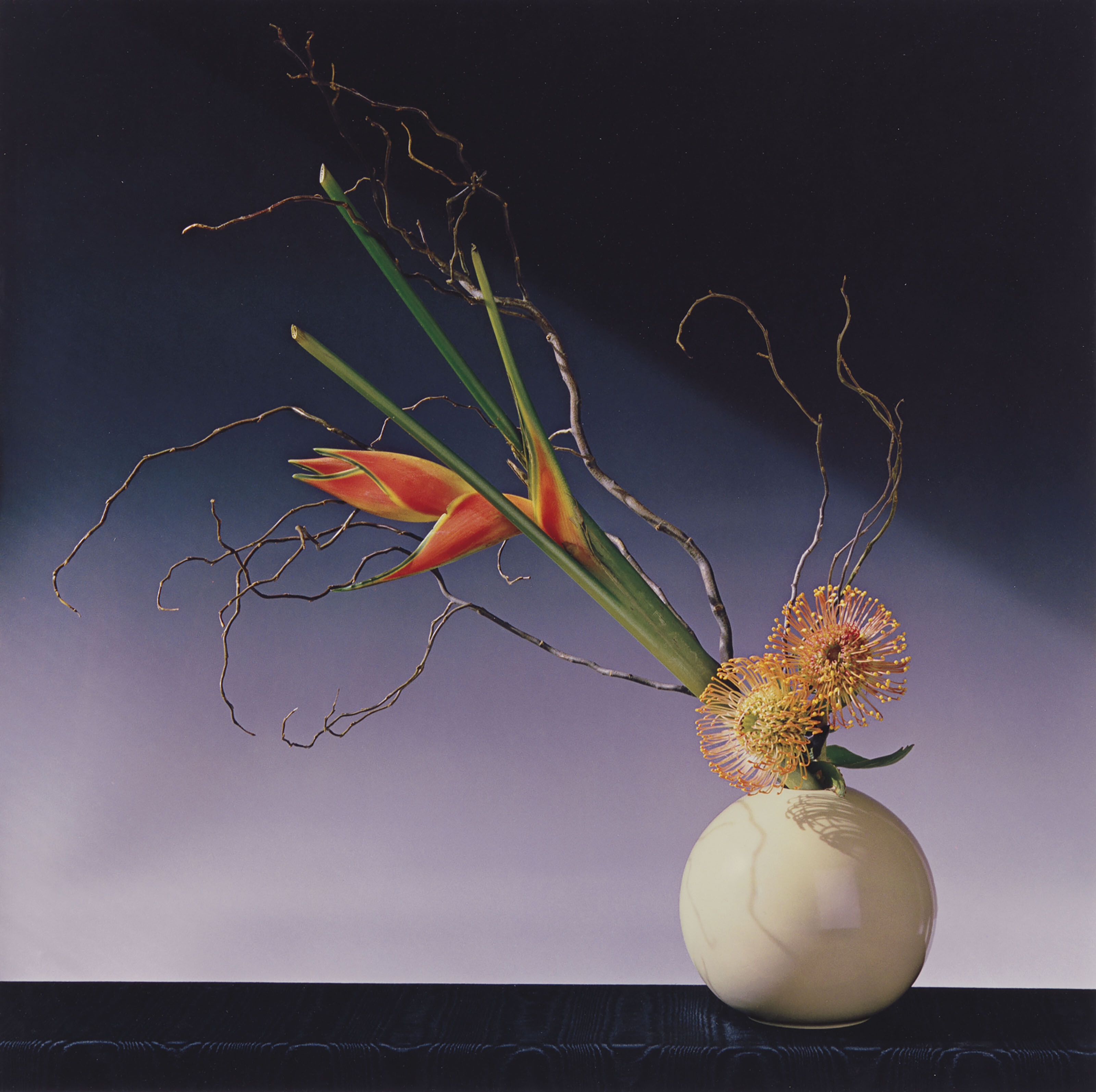 robert mapplethorpe flores sensuales 7